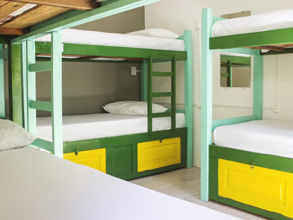 Single Bed Mixed Dormitory Room