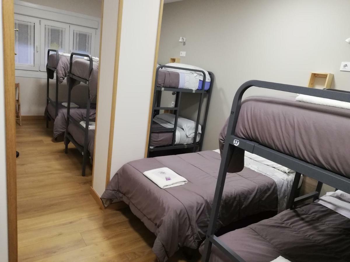 Bunk Bed Mixed Dormitory Room
