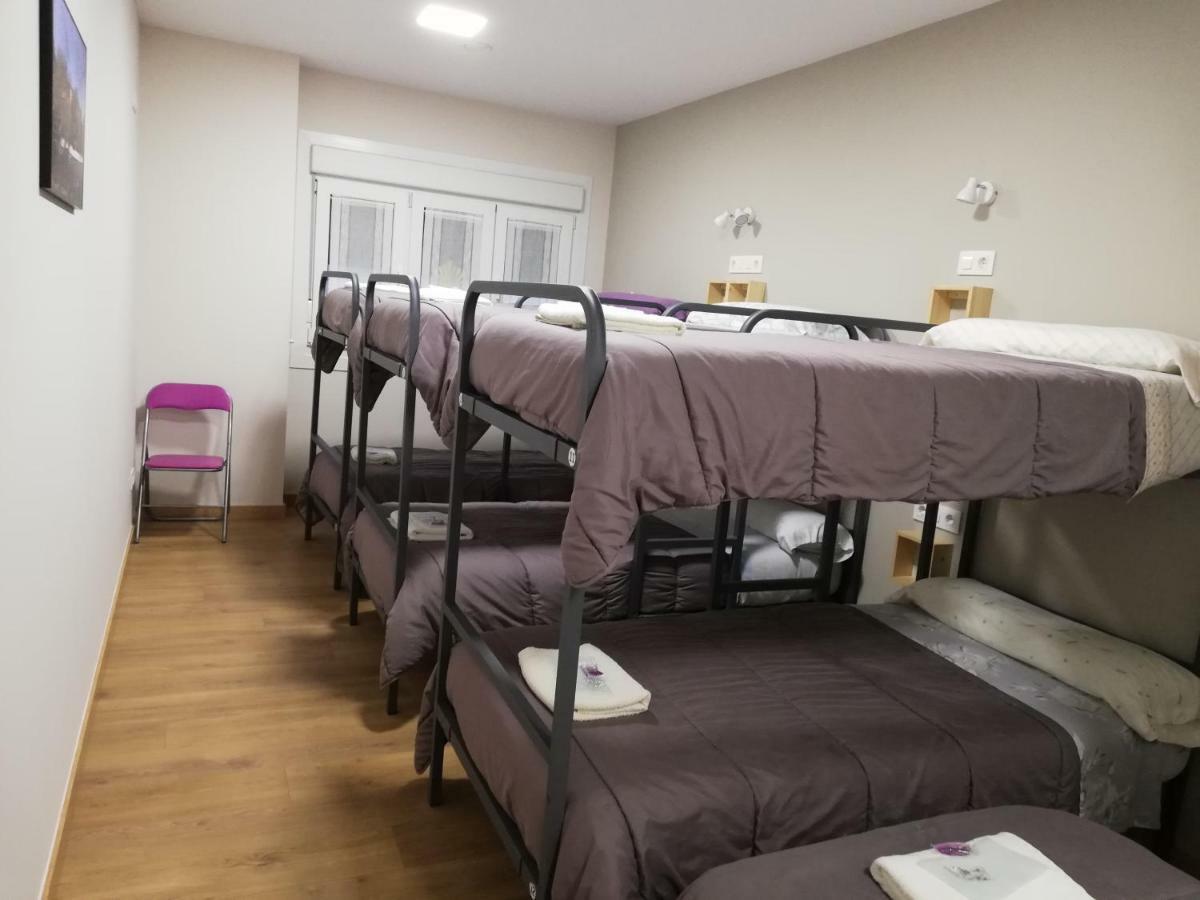 Bunk Bed Mixed Dormitory Room