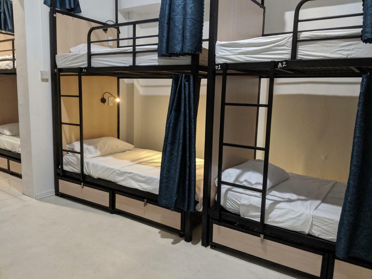 Bunk Bed Mixed Dormitory Room