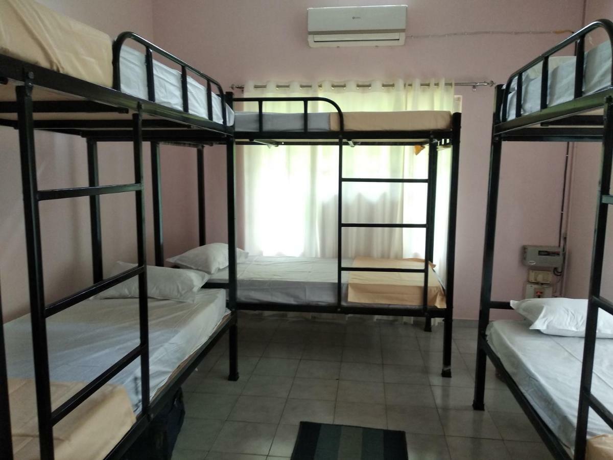 Bed in 8-Bed Mixed Dormitory Room