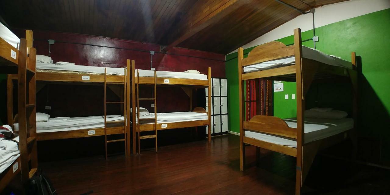 Bunk Bed Mixed Dormitory Room,815782889:JPEG