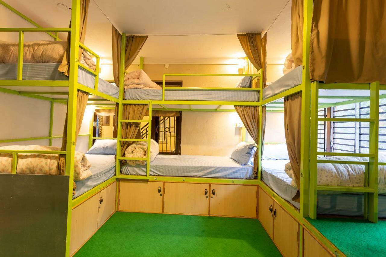 Bunk Bed in Mixed Dormitory Room