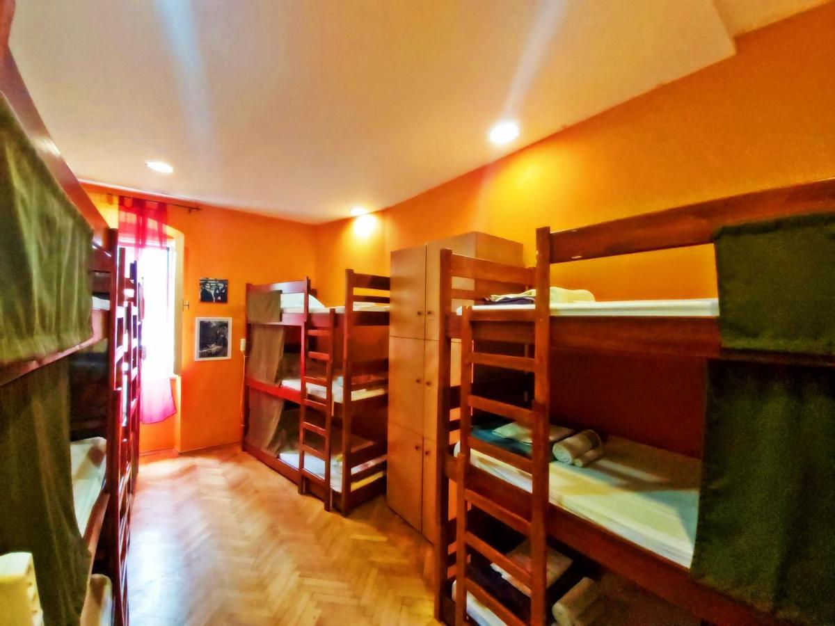 Bunk Bed in Mixed Dormitory Room,980746684:JPEG