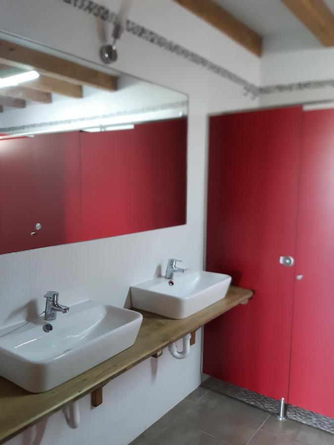 Bunk Bed Mixed Dormitory Room