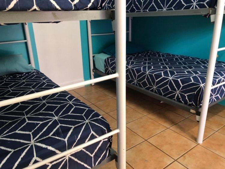 Bed in 4-Bed Female Dormitory Room - 18 to 35 years old