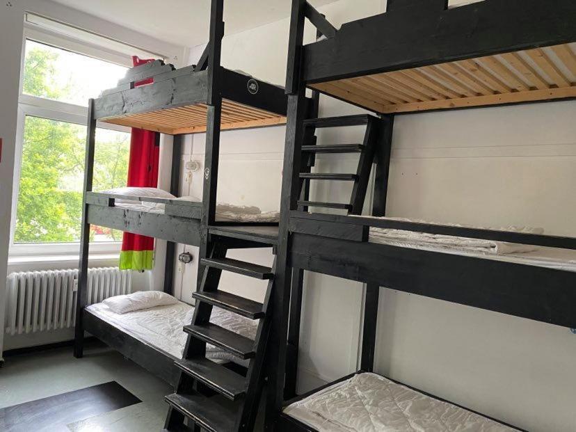 Bed 8-Bed Dormitory Room
