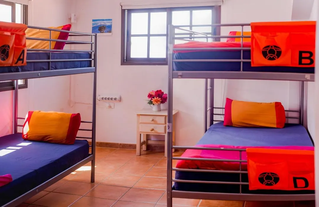 La Tortuga Hostel-1