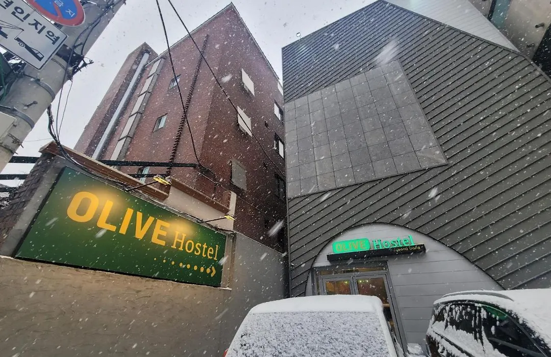 Olive Hostel Myeongdong-1