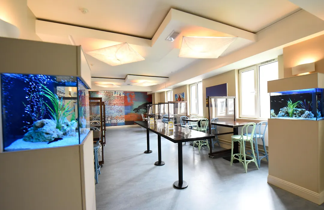 Kinlay Hostel Eyre Square - Best Hostel In Ireland 2025-1