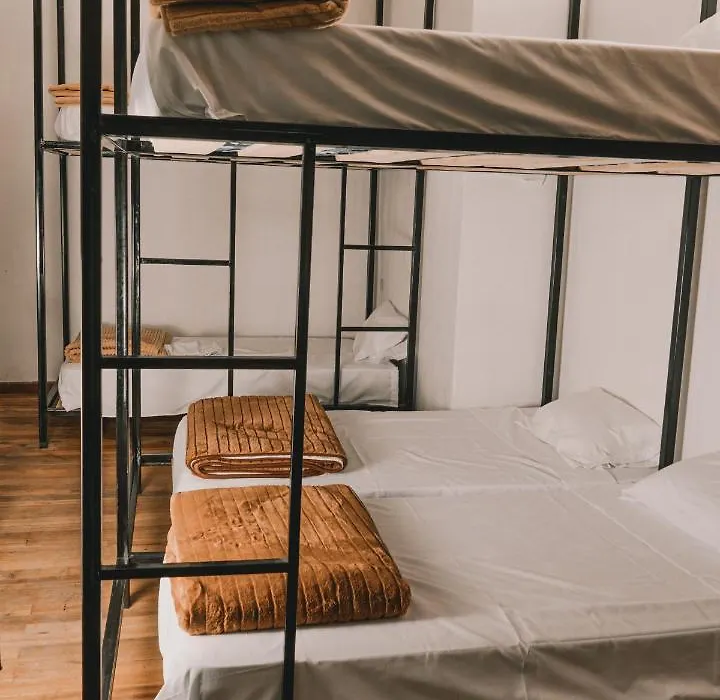 Wild Monkey Hostel-1