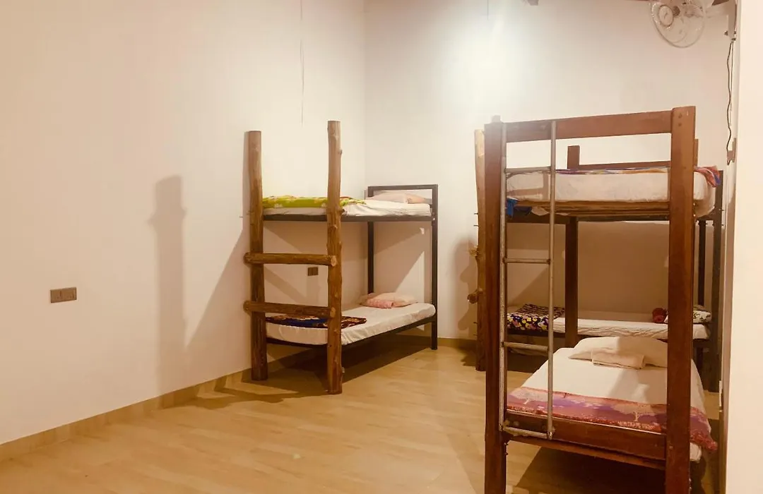 Jungle City Hostel-1