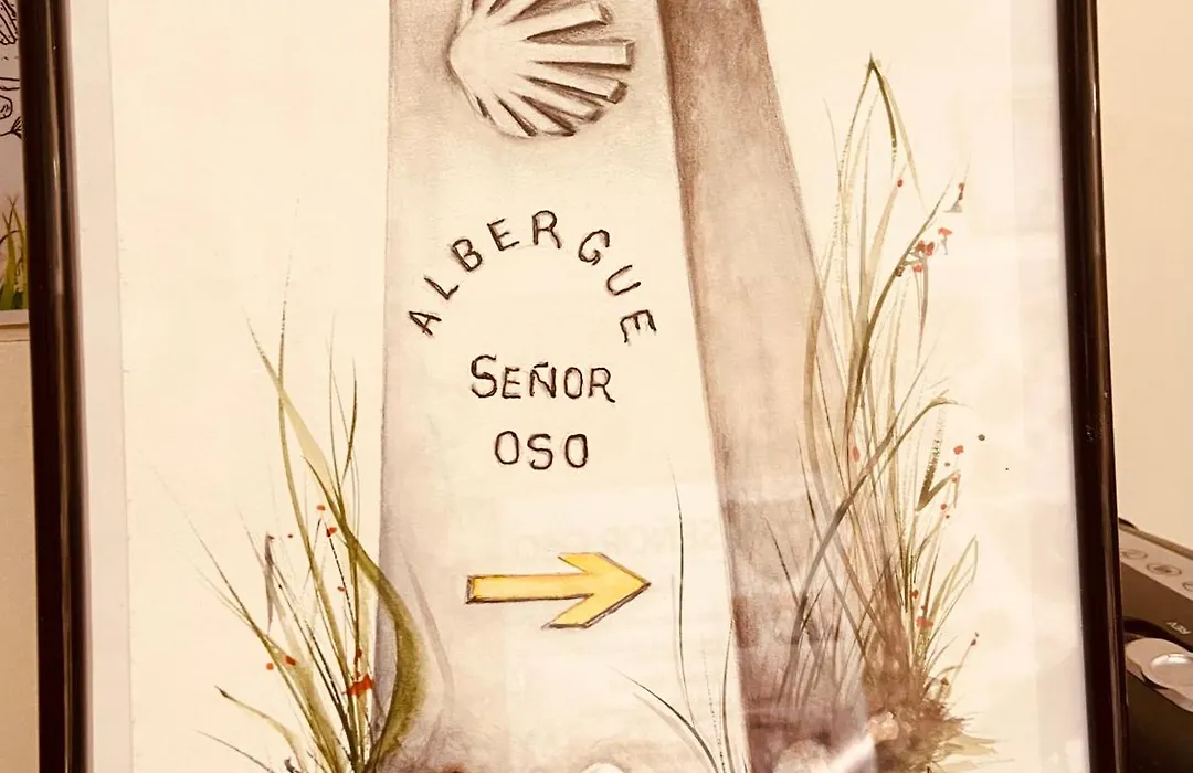 Señor Oso-1