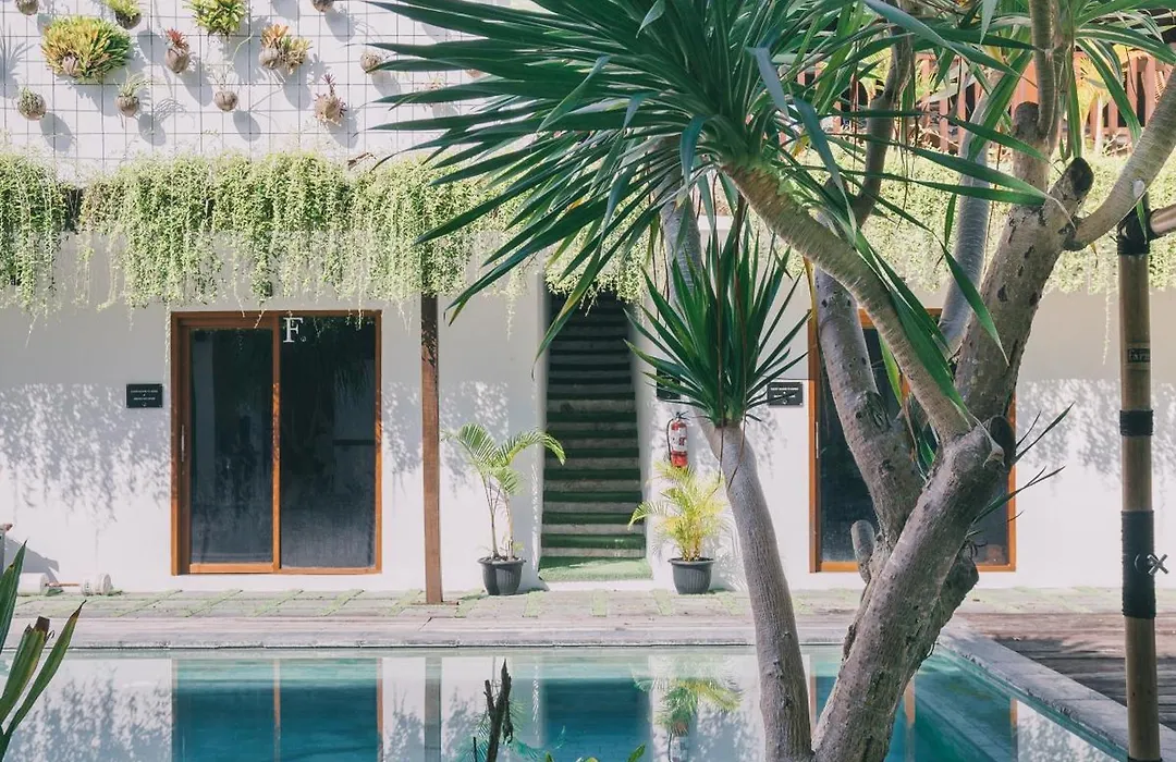 The Farm Canggu Party Hostel-1