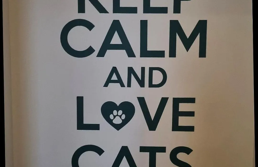 Green Cat Rooms-1
