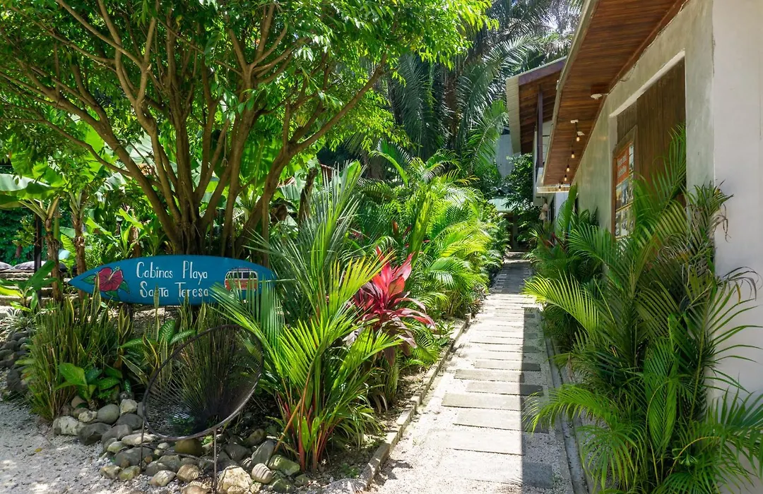Cabinas Playa Surf Hostel-1