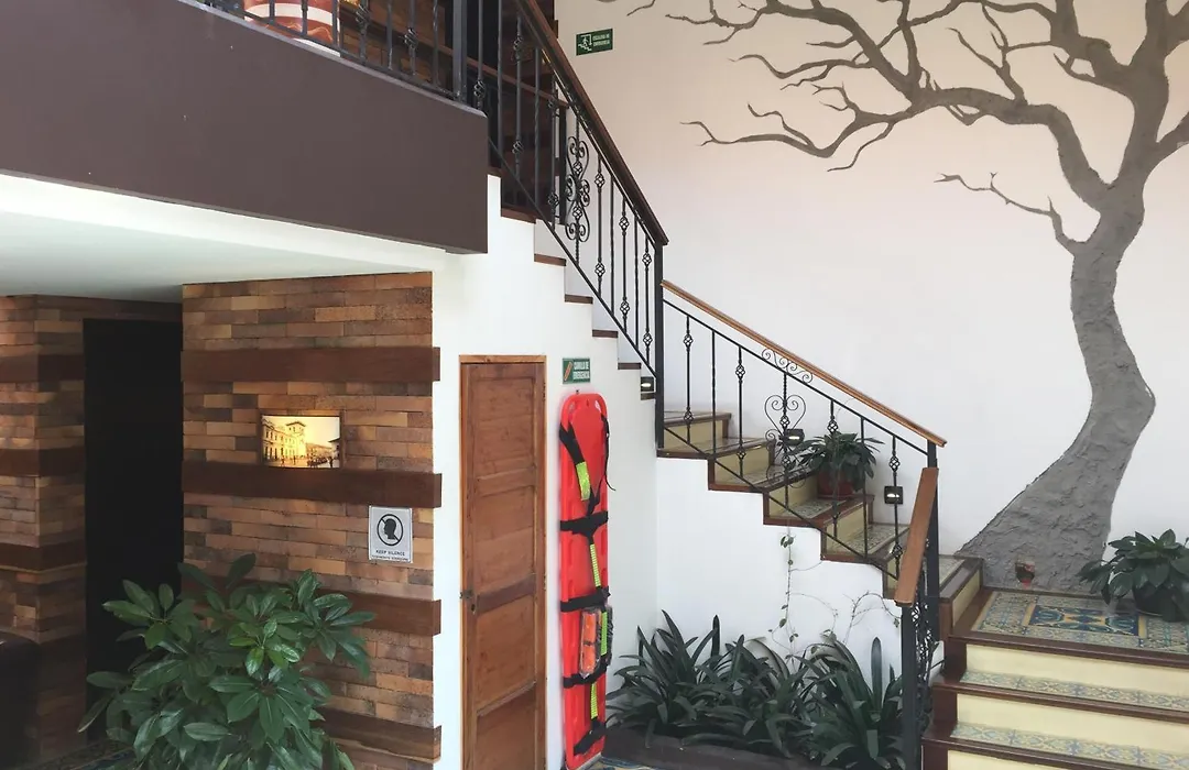 The Cranky Croc Hostel-1