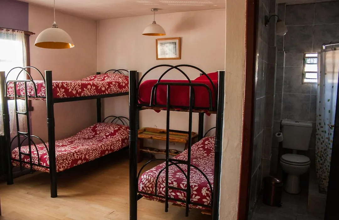 Hostel Like Quijote-1