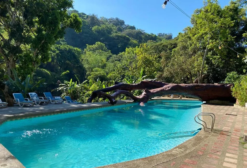 Rio Elemento-1