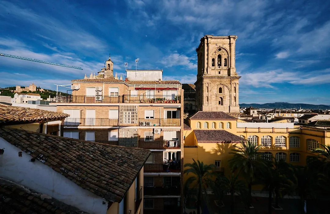 Toc Hostel Granada-1