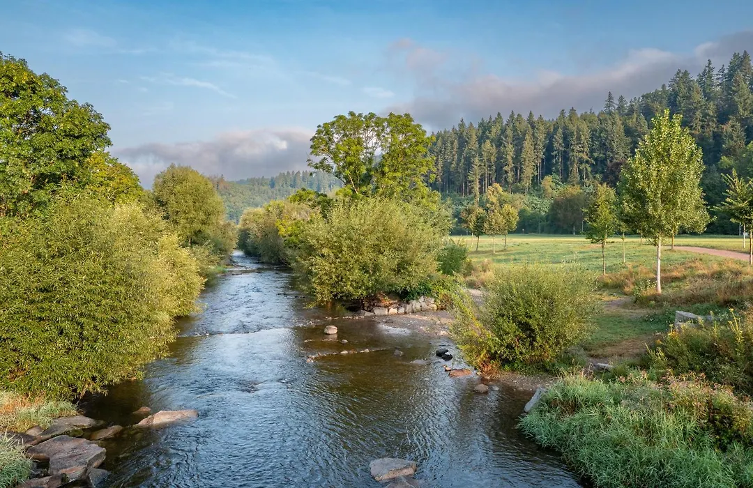 Jugendherberge Freiburg-1