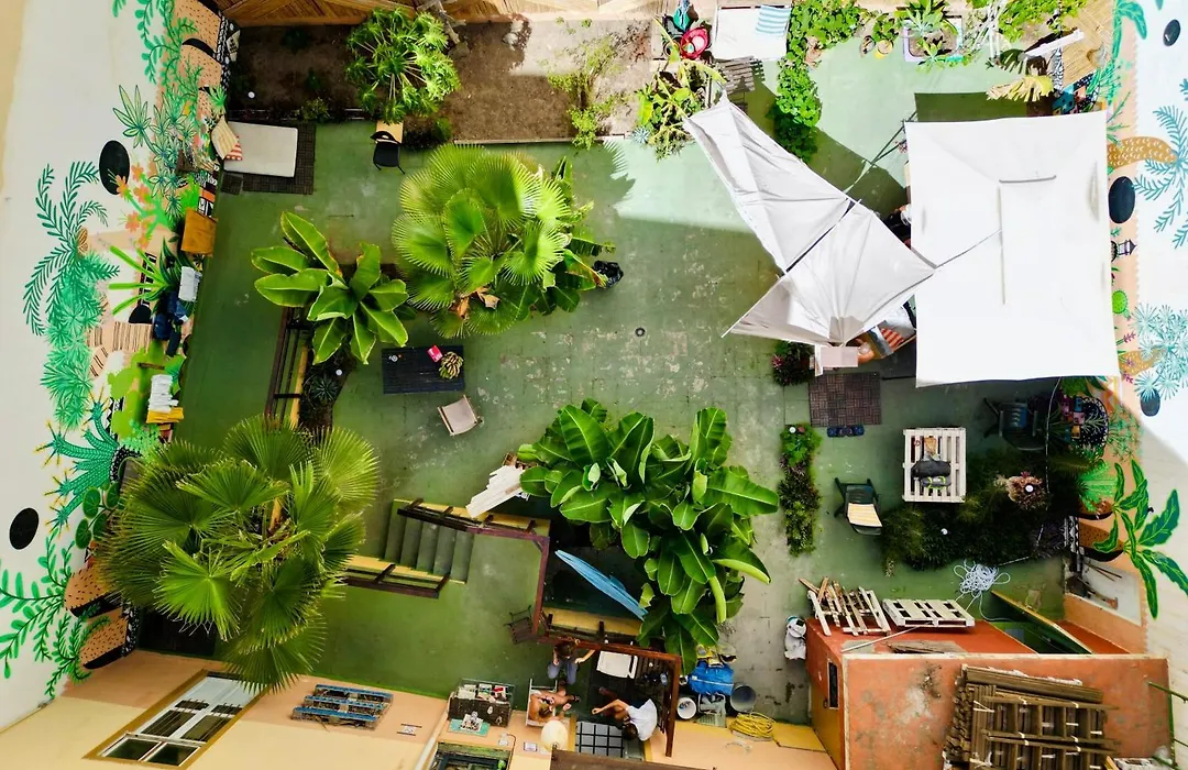 Jungle House-1