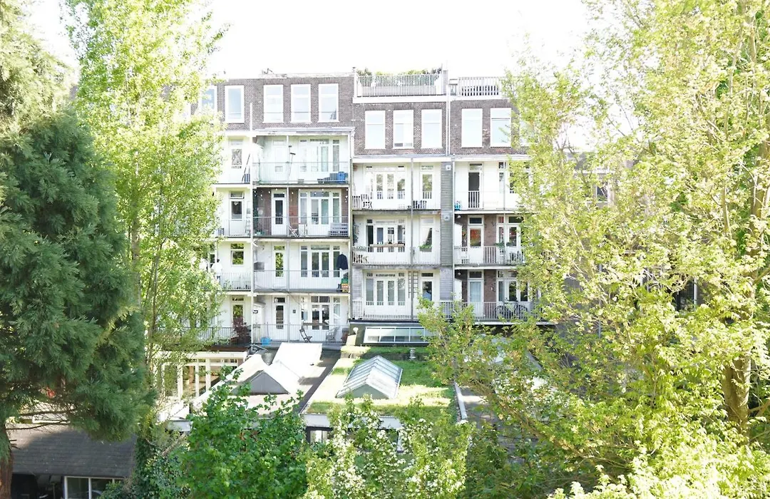 Onefam Amstel-1