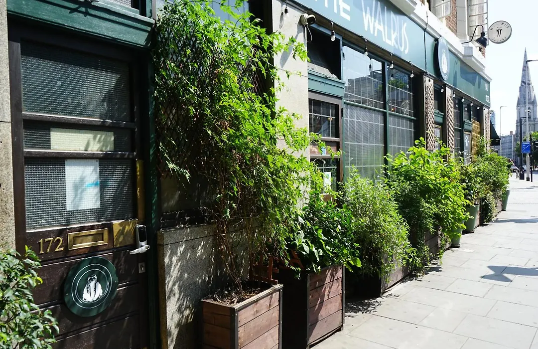The Walrus Bar And Hostel-1