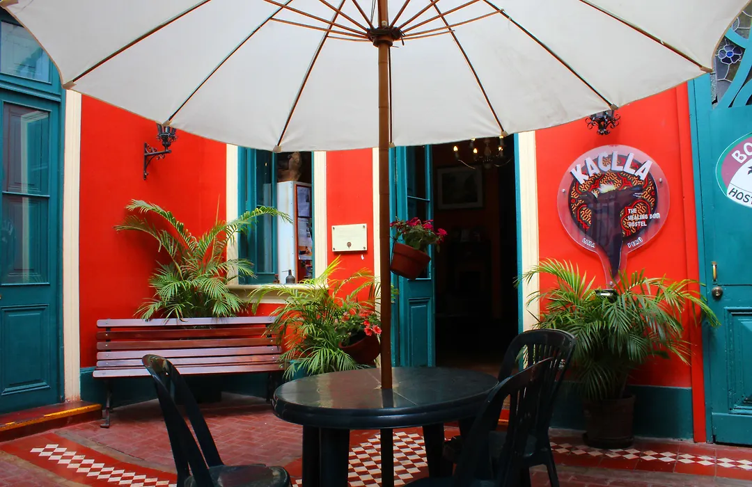 Kaclla, The Healing Dog Hostel-1