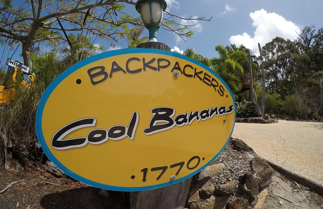 Cool Bananas Backpackers-1