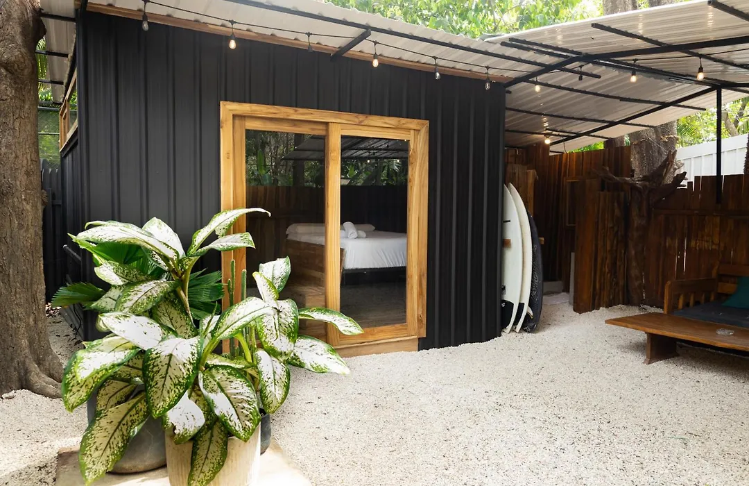 Zeneidas Surf Garden-1