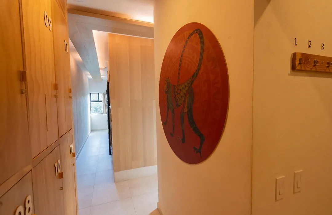 Mayan Monkey Tulum - Social Hostel (Adults Only)-1