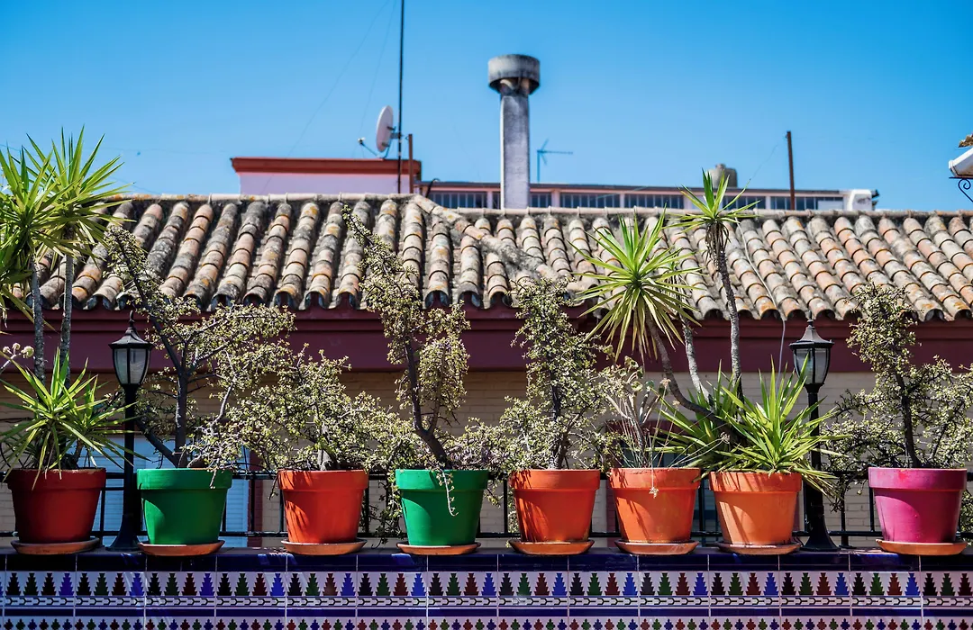 Hostel Triana Backpackers-1