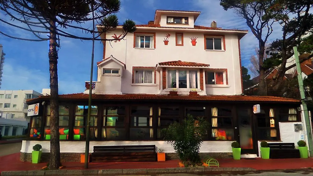 Planet Punta del Este Hostel-1
