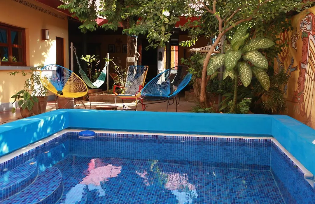 Hostal La Tortuga Booluda-1