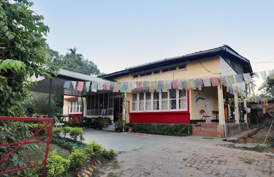 Gibbon Backpackers Hostel-1