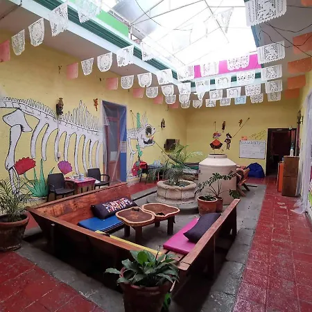 Iguana Hostel Oaxaca-3