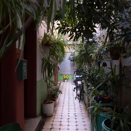 Pagration Youth Hostel-3