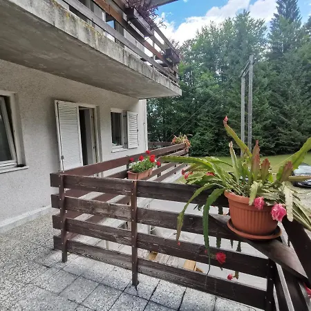 Hostel Pod Voglom-3