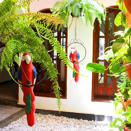 La Guaca Hostel Santa Marta-3