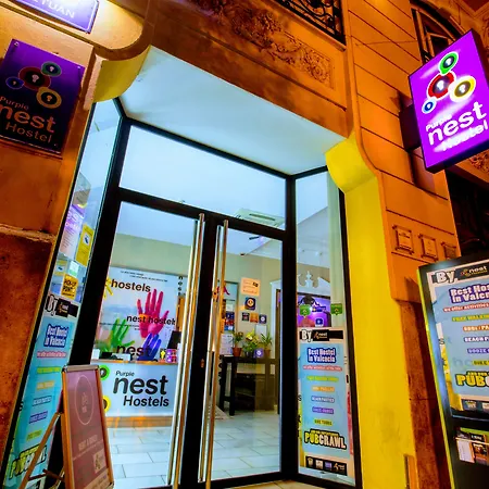 Purple Nest Hostel-3