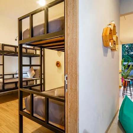 Aura Dormitory House Ubud-3