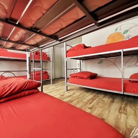 Lola Backpacker'S Hostel-2