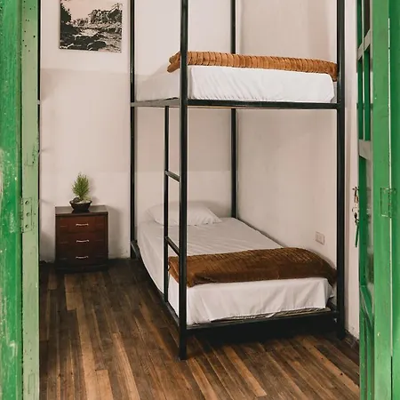 Wild Monkey Hostel-3