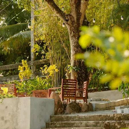 The Vibe House - Chillout Hostel-2