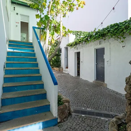 Le Penguin Hostel-2