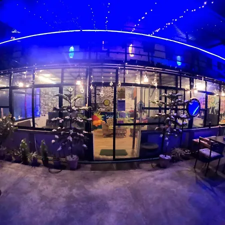 Big Tree Hostel-2