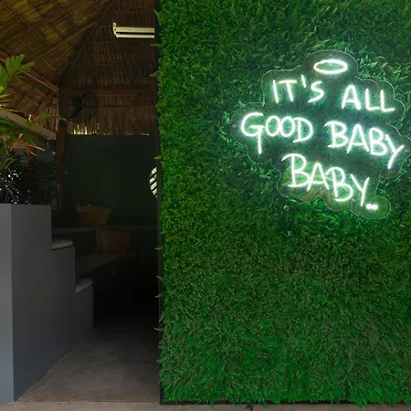 The Space Jungle Oasis-2