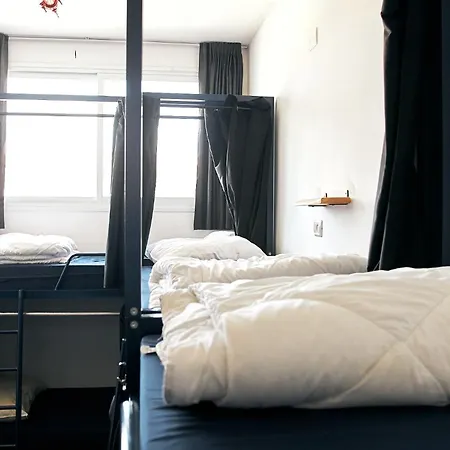Jungle Jaffa Hostel Age 18 To 45-2