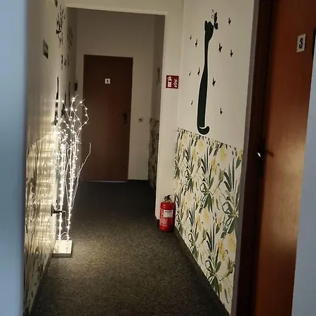 Green Cat Rooms-3